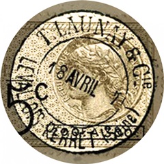 Bloom and Bee Collection F