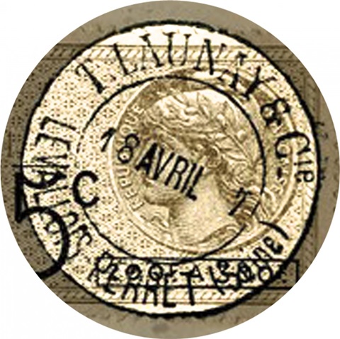 Bloom and Bee Collection F