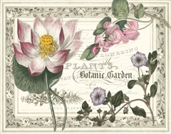 Botanic Garden Collection A