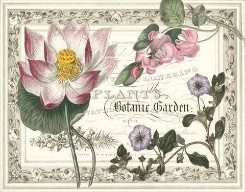 Botanic Garden Collection A