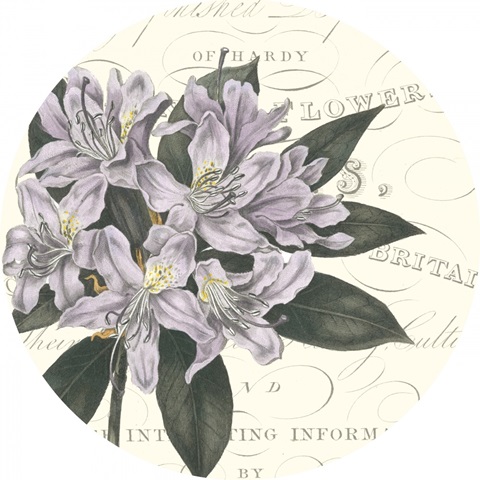 Botanic Garden Collection C