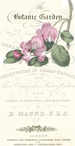 Botanic Garden Collection F