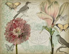 Cartouche Collection A