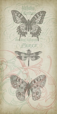 Cartouche Collection B