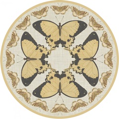 Cartouche Collection D