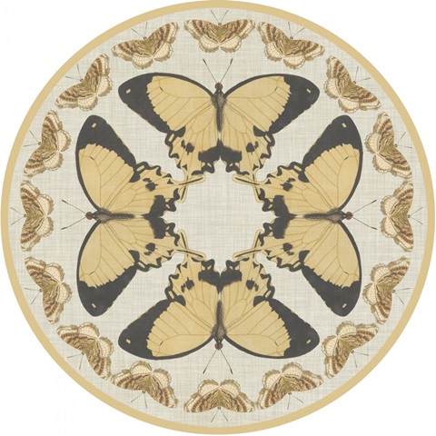 Cartouche Collection D