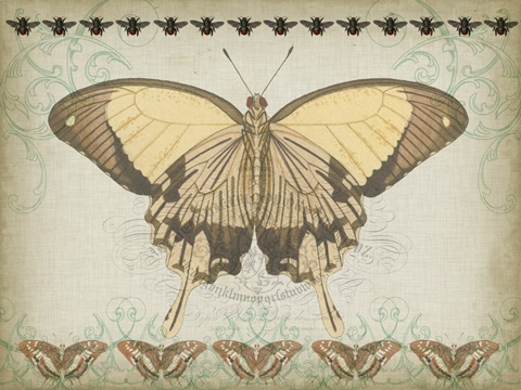 Cartouche Collection E