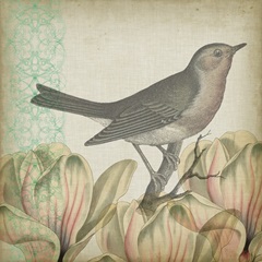 Cartouche Collection F