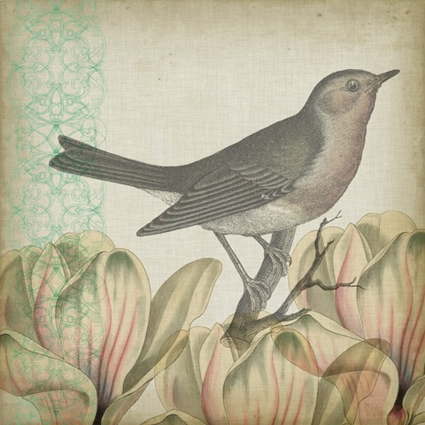 Cartouche Collection F