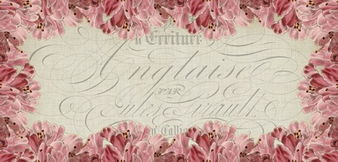 Cartouche Collection G