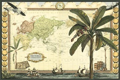 Classic Palm Collection A