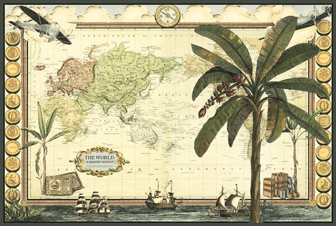 Classic Palm Collection A