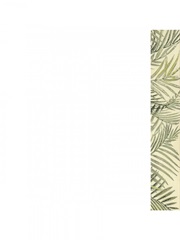 Classic Palm Collection B