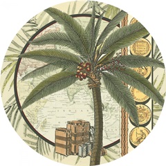 Classic Palm Collection C