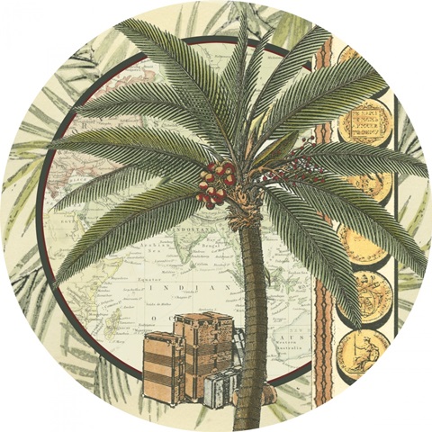 Classic Palm Collection C