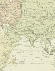 Classic Palm Collection E