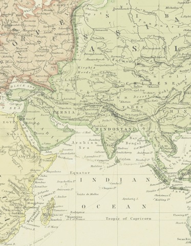 Classic Palm Collection E