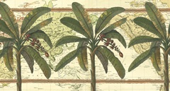 Classic Palm Collection H