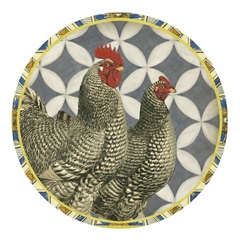 Classic Rooster Collection C