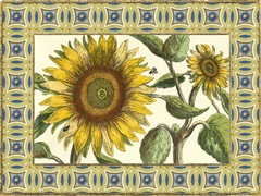 Classical Sunflower Collection A