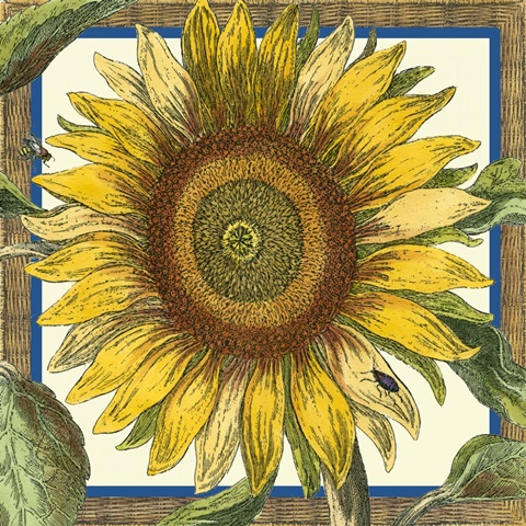 Classical Sunflower Collection G