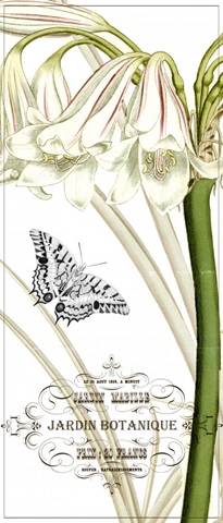 Jardin Botanique Collection B