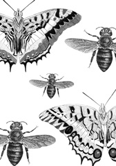 Jardin Botanique Collection D