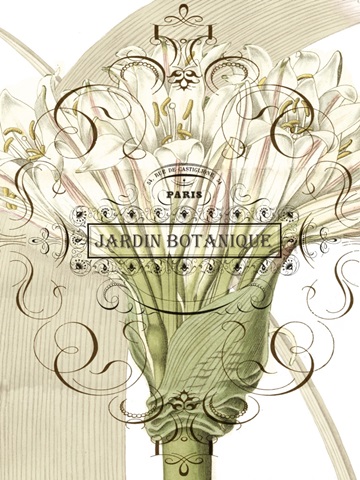 Jardin Botanique Collection E