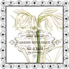 Jardin Botanique Collection G