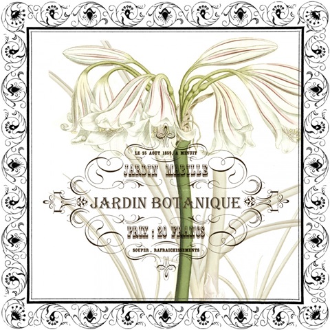 Jardin Botanique Collection G