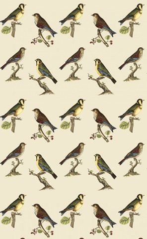 Naturalists Collage Collection B