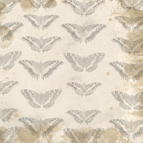 Naturalists Collage Collection D