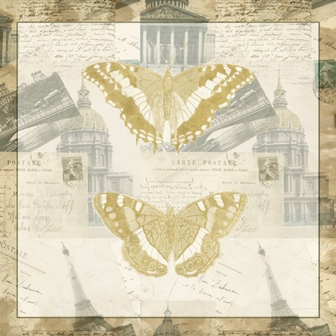 Naturalists Collage Collection G