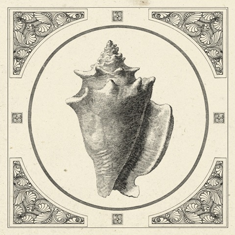 Natures Mememto Collection G