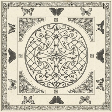 Natures Mememto Collection I