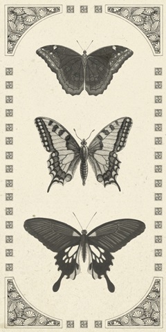 Natures Mememto Collection J