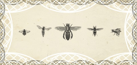 Natures Mememto Collection K