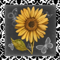Ornate Sunflowers Collection A