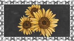 Ornate Sunflowers Collection C