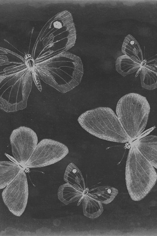 Ornate Sunflowers Collection H