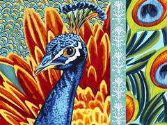 Plumed Peacock Collection A