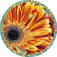 Plumed Peacock Collection C