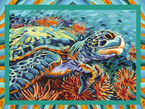 Sea Sweetheats Collection A