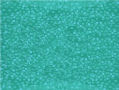 Sea Sweetheats Collection D