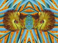 Sea Sweetheats Collection E