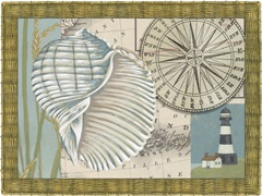 Seaside Shell Collection A