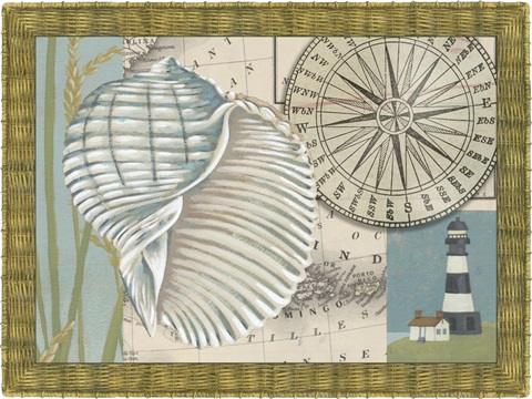 Seaside Shell Collection A