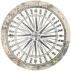 Seaside Shell Collection C