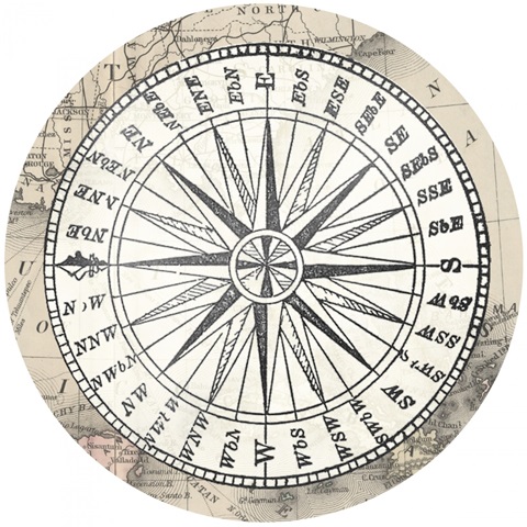 Seaside Shell Collection C