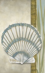 Seaside Shell Collection E